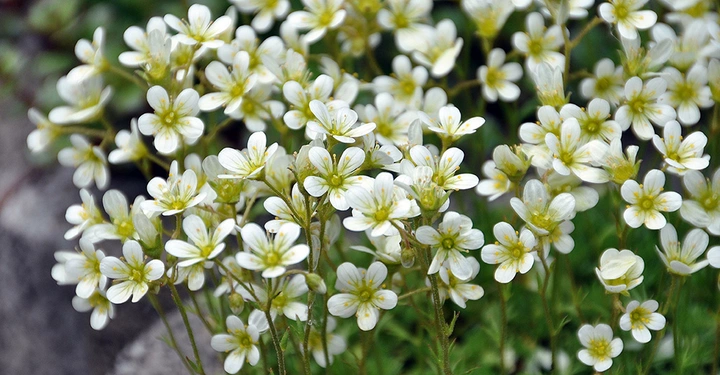 Galerie-Bild 2: AdobeStock_294159508_1000.jpg