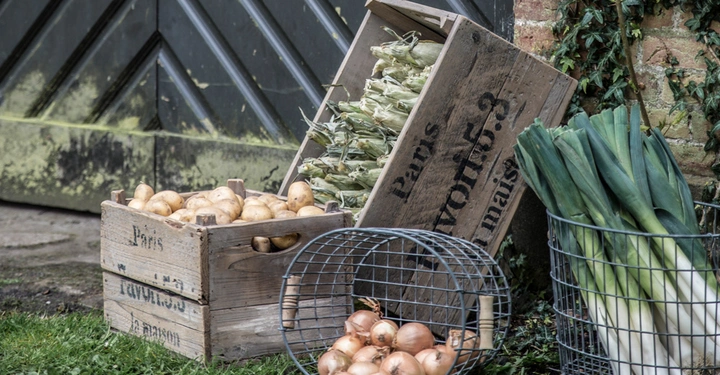 Galerie-Bild 8: Kartoffeln liegen in einer Holzkiste auf Gras. Maiskolben sind in einer anderen geneigten Kiste. Zwiebeln und Lauch befinden sich in Drahtkörben an einer Backsteinwand. Text: Paris Favourites 2 maison