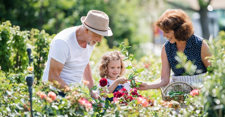Ein älterer Mann und eine ältere Frau helfen einem kleinen Mädchen, in einem blühenden Garten Blumen zu pflegen. Umgeben von grüner Vegetation lächeln alle und genießen die Natur.