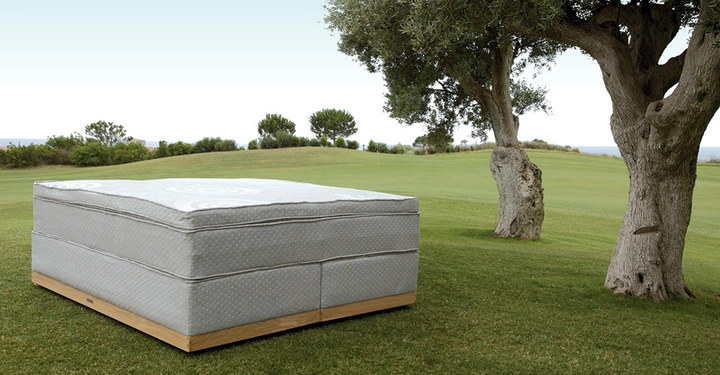 Große Matratze steht still auf grünem Gras zwischen zwei Bäumen in einer weitläufigen Parklandschaft an einem hellen Tag.