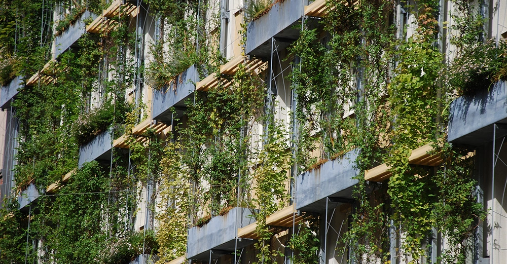 Fassadenbegrünung mit Stahltrögen und verschiedenen Kletterpflanzen am Gebäude der Magistratsabeteilung 31 in Wien