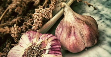 Knoblauchknolle und halbgeöffneter Knoblauchkopf liegen auf einer Marmoroberfläche umgeben von getrockneten Kräutern und Blumen