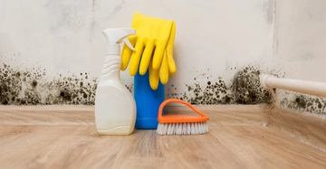 Reinigungsmittelflasche Handschuhe und Bürste stehende Objekte gegen Wand im verschimmelten Raum mit Holzboden und sichtbaren Schimmelstellen auf der weißen Wand im Hintergrund.