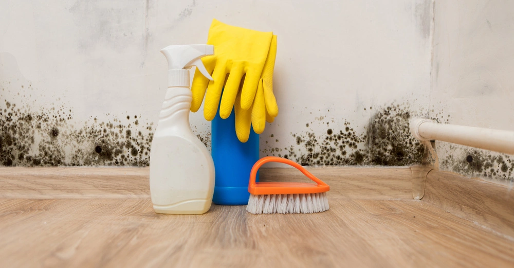 Reinigungsmittelflasche Handschuhe und Bürste stehende Objekte gegen Wand im verschimmelten Raum mit Holzboden und sichtbaren Schimmelstellen auf der weißen Wand im Hintergrund.