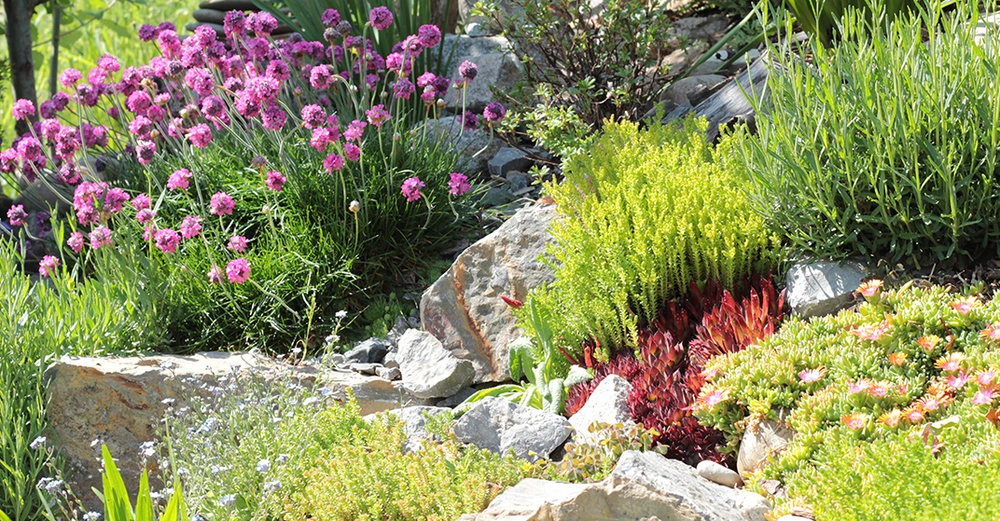 AdobeStock_1392168847 Kopie.jpg