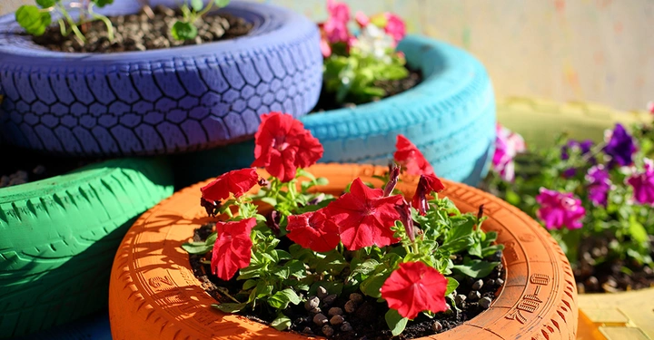 Blumen wachsen in einem alten orangefarbenen Autoreifen der als Pflanzgefäß dient in einer kreativen bunten Umgebung mit weiteren bemalten Reifen und blühenden Pflanzen im Hintergrund.
