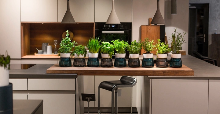 Pflanzen stehen in Töpfen auf einem Holztresen Küchenumgebung mit modernen, grauen Schränken und Hängelampen. Ein schwarzer Barhocker steht nebe dem Tresen.