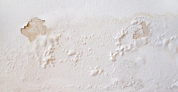 Ausflockende weiße Fassade, Feuchtigkeitsschaden