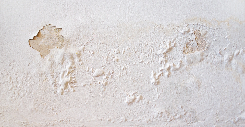 Ausflockende weiße Fassade, Feuchtigkeitsschaden