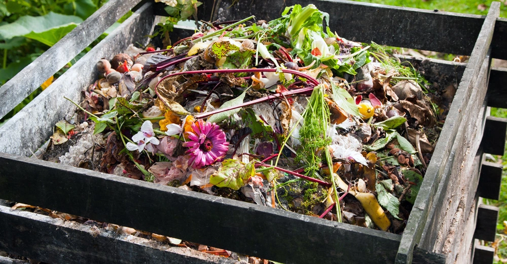 Ein offener Kompostbehälter gefüllt mit verschiedenen organischen Abfällen wie Gemüse- und Obstschalen Blumen und Blättern steht in einem grünen Garten.