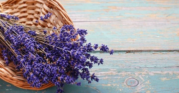 Ein Bündel Lavendel liegt in einem geflochtenen Korb auf einer grün-blau gestrichenen, leicht verwitterten Holzoberfläche.