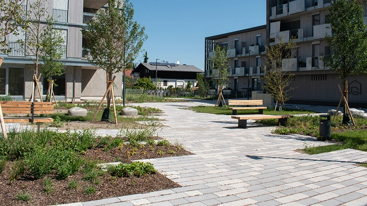 Galerie-Bild 3: gepflasterte Fläche mit Holzbänken und zwischendrin Rasen- und Baumflächen in sonnigem Wohnkomplex.
