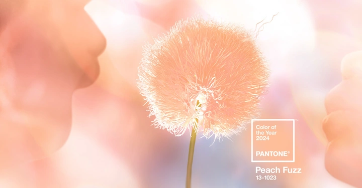 Galerie-Bild 3: Pfirsichfarbene flauschige Blume steht still inmitten eines verschwommenen, warmen Pastell-Hintergrunds. Text Color of the Year 2024 PANTONE Peach Fuzz 13-1023.