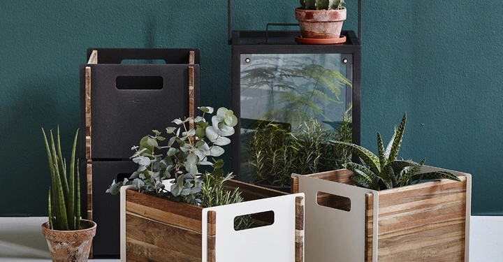 Galerie-Bild 2: Holzkisten mit Pflanzen stehen auf einem weißen Boden vor einer grünen Wand. Ein Kaktus auf einem Schrank und mehrere grüne Pflanzen in und um die Kisten.