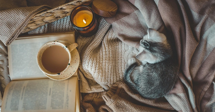 Ein gemütlicher Leseplatz mit verschiedenen Wohndecken, einem Buch, einer Kerze, einem aufgeschlagenen Buch, einer Tasse Kaffee und einer kleinen grauen Katze.