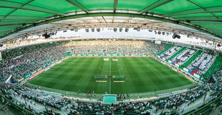 Galerie-Bild 3: 2024-allianzstadion-fiorentina-choreo-rrs Kopie.jpg