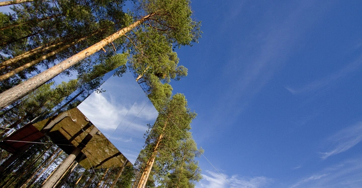 Galerie-Bild 5: Spiegelwürfel wurde an Bäumen befestigt und reflektiert den blauen Himmel und die umgebenden Baumstämme eines Waldes unter sonnigem Tageslicht