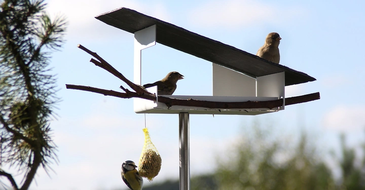Galerie-Bild 1: Vogelhäuschen mit zwei Vögeln auf dem Dach und einer an einem Netzfutterbeutel hängend in einem grünen Garten bei sonnigem Wetter. Ein Baum ist links im Bild sichtbar.