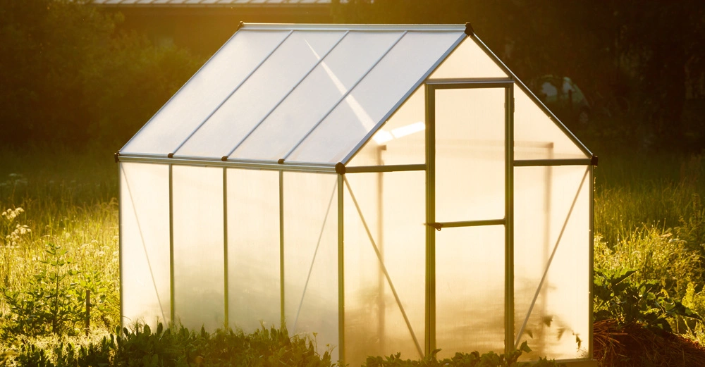 Gewächshaus im Garten bei Sonnenuntergang umgeben von üppigem grünen Pflanzen und Büschen.