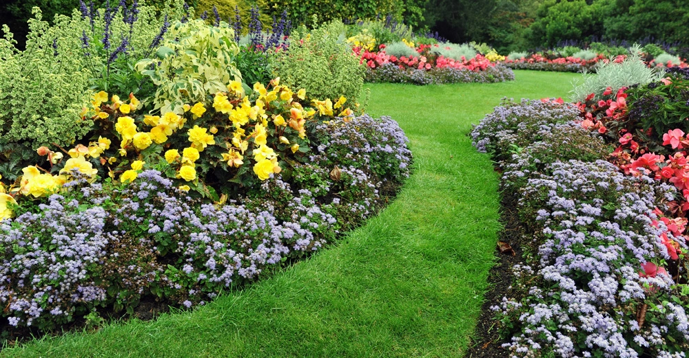 wunderschöner Ziergarten mit perfektem Rasenstreifen, der sich durch Beetrabatten schlängelt, reichlich bunt bepflanzt mit roten, gelben und lila Blumen