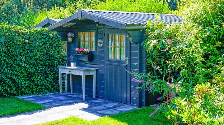 Blauer Gartenschuppen steht in schön gepflegtem Kleingarten.