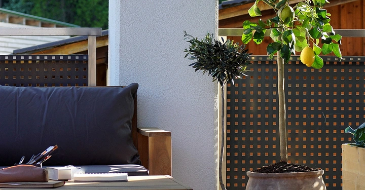 Moderne Terrasse mit gemütlicher Sitzecke aus Holz, einem Zitronenbaum und einem Olivenbaum in Terrakotta-Töpfen vor einem stilvollen Sichtschutz.