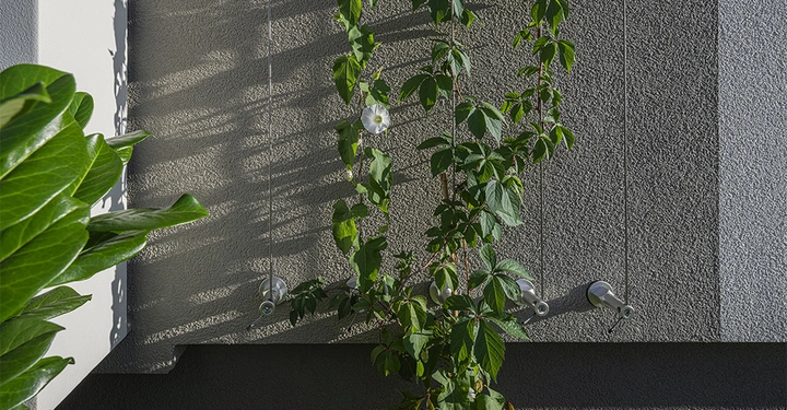 Galerie-Bild 2: graue strukturierte Fassade mit Wasseranschlüssen udn Kletterpflanzen im Abendsonnenlicht