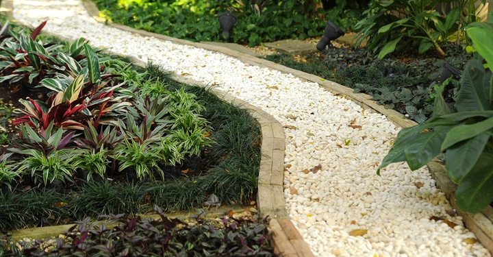 Weißer Kiesweg schlängelt sich durch einen Garten, gesäumt von bunten Pflanzen und grünen Blättern im dichten Laubwerk.