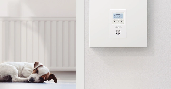 Galerie-Bild 3: shutterstock_233731993 AQ GO_1000.jpg