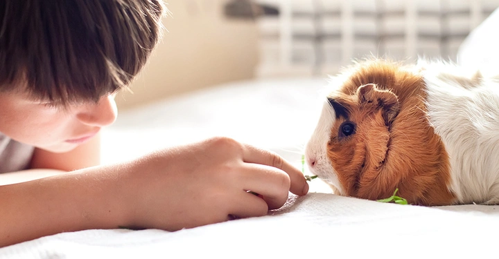 AdobeStock_437472647 Kopie.jpg