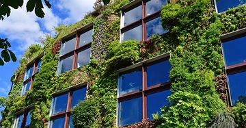Ein Gebäude mit großen Fenstern ist mit vertikalem Garten bewachsen und spiegelt den blauen Himmel mit Wolken wider. Pflanzen und Blumen bedecken die Fassade. Umgeben von Bäumen und Blättern.