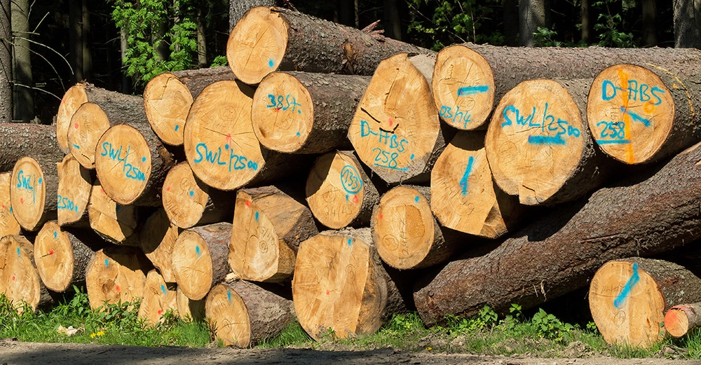 AdobeStock_64368381 Kopie.jpg