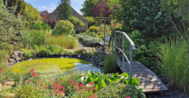Gartenteich mit algiger grüner Wasseroberfläche über den eine hölzerne schmale Brücke mit Geländer führt. Im Hintergrund ist ein Haus zu sehen. Rund um den Teich wunderschöne Pflanzen