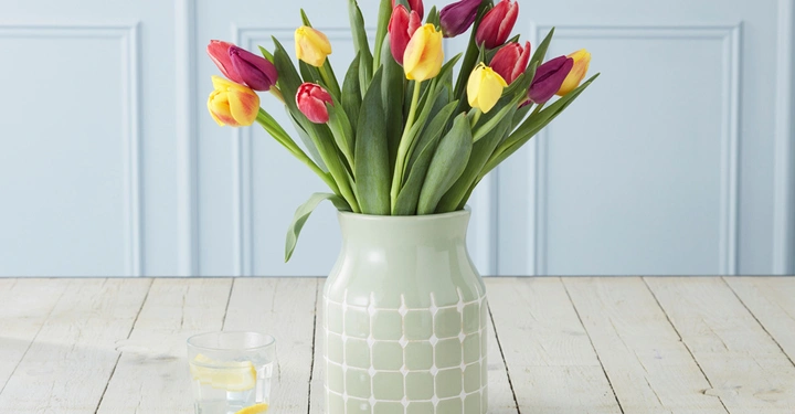 Galerie-Bild 4: Vase mit bunten Tulpen steht auf einem Holztisch neben einem Glas Wasser mit Zitronenscheibe im Hintergrund hellblaue Tafelwand.