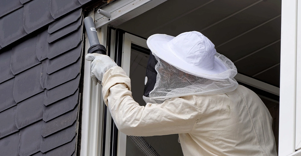 Kammerjäger in Schutzkleidung bei der Ungezieferbekämpfung am Dach.