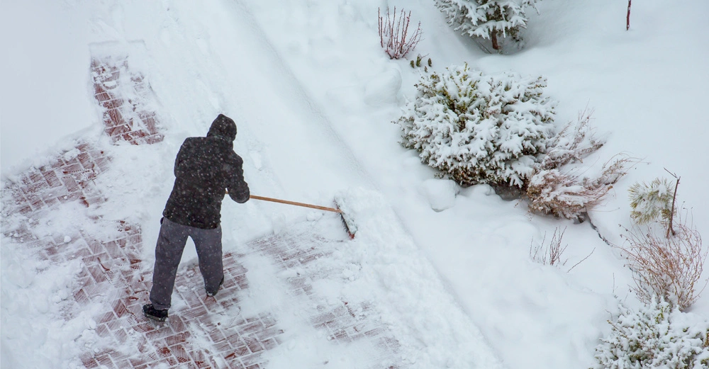 Person schaufelt Schneepfad auf schneebedecktem Gehweg während Schneesturm in verschneitem Garten umgeben von Sträuchern und Bäumen