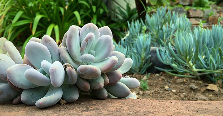 Galerie-Bild 5: AdobeStock_348995277_1000.jpg