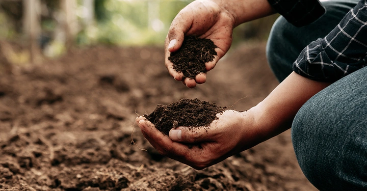 Eine Person überprüft seinen Humusboden im Garten auf Qualität, damit er anschließend Pflanzen einsetzen kann.