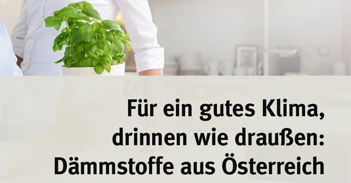 Topfpflanze wird von einer Person gehalten Tisch Küche im Hintergrund Für ein gutes Klima drinnen wie draußen Dämmstoffe aus Österreich