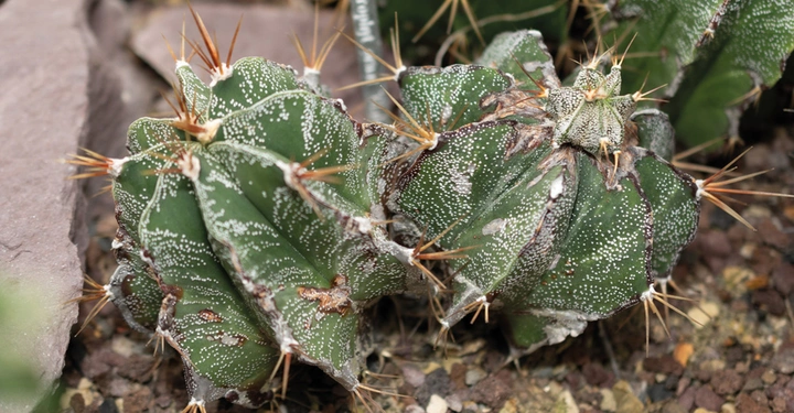 Galerie-Bild 7: AdobeStock_685064087.jpg