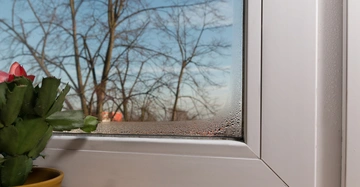 weißes Kunststofffenster mit Kondenswasserstreifen im unteren Fensterrand. Am Fensterbrett steht eine kleine Topfpflanze, vor dem Fenster blauer Himmel und ein kahler Baum.