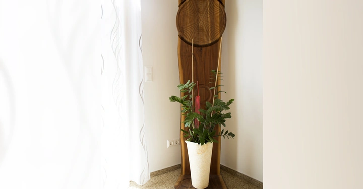 Galerie-Bild 2: Eine grüne Pflanze steht in einem weißen Blumentopf auf einem Holzpodest in einem hellen Raum neben einem Fenster mit weißen Vorhängen