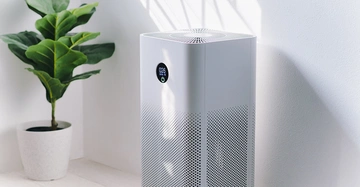 Luftreiniger steht in einem Raum neben einer grünen Topfpflanze ein rundes Display zeigt 026 an Sonnenlichtbild strahlt durch ein Fenster auf die weiße Wand und den Boden