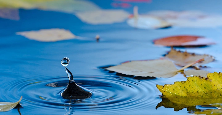 Ein Wassertropfen steigt aus einer von Wellen durchzogenen Wasseroberfläche empor umgeben von schwimmenden herbstlichen Blättern.