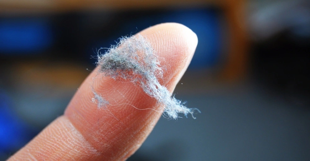 Finger hält ein kleines Stück Staubflusen in einem unscharfen Innenraum im Hintergrund.