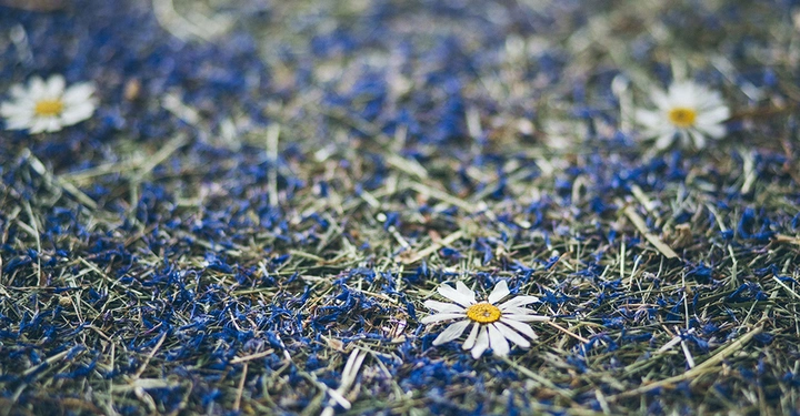 Galerie-Bild 2: dl_organoid_corporate_image_02_west_0167_1000.jpg