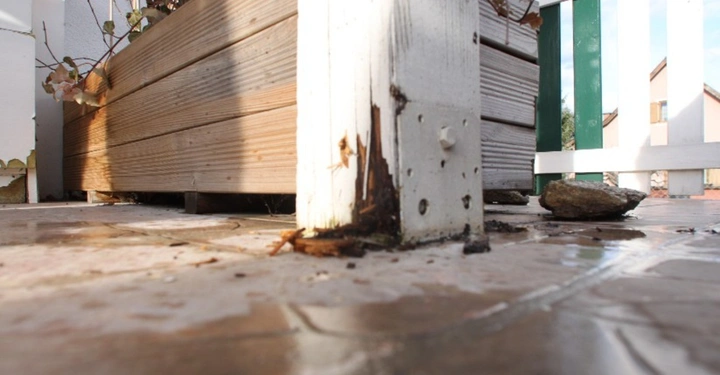 Galerie-Bild 23: Holzpfosten mit beschädigtem Fuß, verbunden mit einem hölzernen Pflanzkasten, der trockene Pflanzen enthält, auf einer gefliesten Terrasse im Freien, umgeben von einem weißen Zaun und einem Gebäude im Hintergrund.