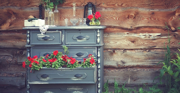 Verwitterte Kommode blüht mit roten Blumen aus der offenen Schublade während Glasflaschen und alte Laternen sie dekorieren vor Holzwand mit Pflanzen in der Umgebung