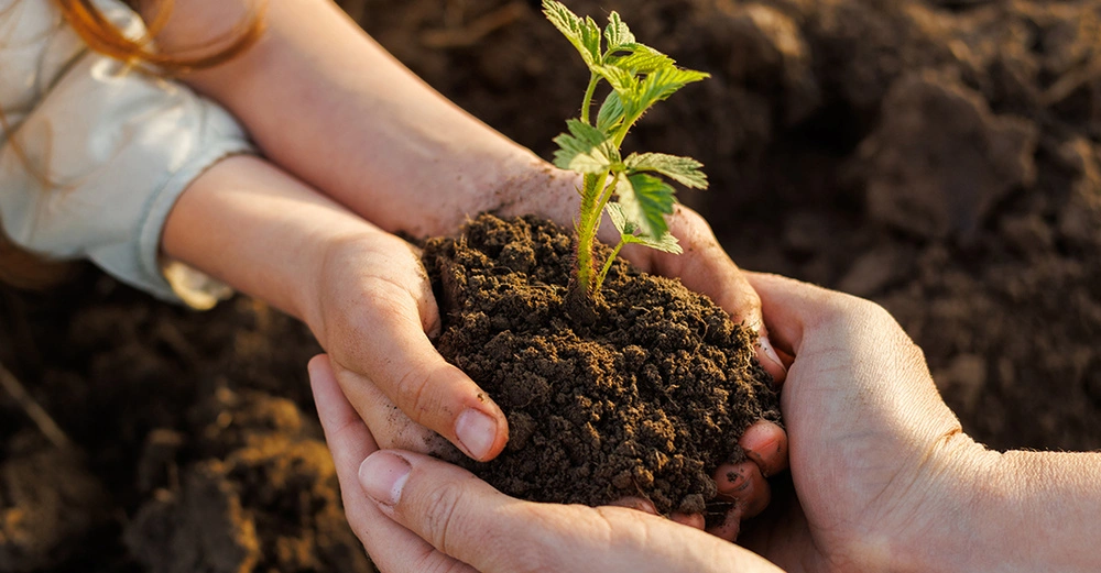 Zwei Personen halten gemeinsam einen kleinen Haufen mit Gartenerde und einer Pflanze in den Händen.