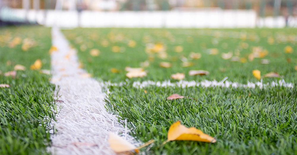 Weiße Linie verläuft über grünen Rasen, teilweise bedeckt mit gelben Blättern. Im Hintergrund sichtbarer, leicht verschwommener Zaun und Baumreihen in einem Freiluftstadion oder Park.